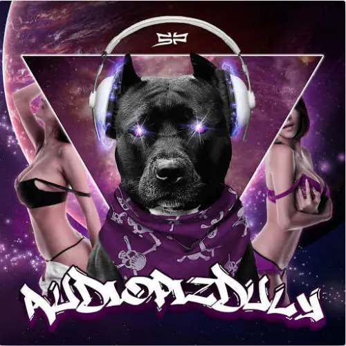 Stagnant Project : Audiøpizduly